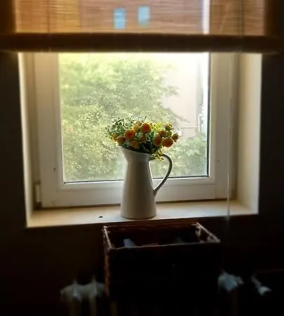 Apartament City Park Mall * 콘스탄차